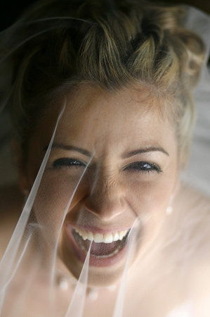mike carlson photography wedding gallery